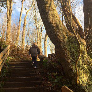 @joyftnssandstyl @ Discovery Park "Got some fresh air and Vit D today. #DiscoveryPark #Washington #trails #trees #pnw #Seattle #GetOutside"