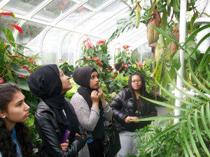 Youth curators tour the Volunteer Park Conservatory.