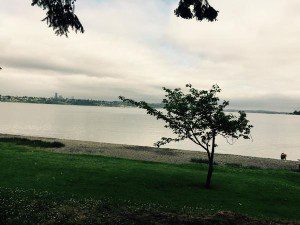 @bdgiddens6 @ Green Lake Park "I hit my PR 8 miles today at Seward Park in Seattle, WA!  #slightedge, #bettereveryday."
