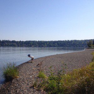 @wildtalesof @ Seward Park "Pitstop from the bike to explore the lakeshore...#sewardpark #seattle @ Seward Park, Seattle"