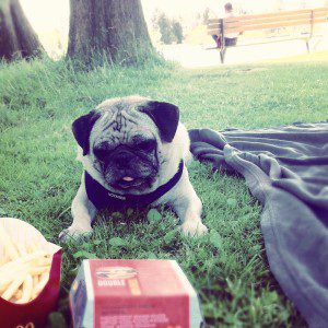 @snoopyinseattle @ Green Lake Park "What happens on Green Lake .. #snoopyinseattle #goldenArches #picnic #GreenLake"