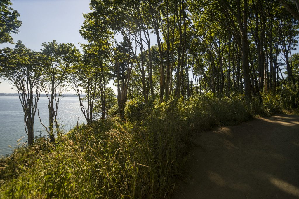 Discovery Park