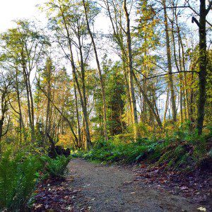 @copystrands @ Discovery Park "Nice winter day for a #TrailRun #DiscoveryPark #LeftCoastRunners #Seattle"