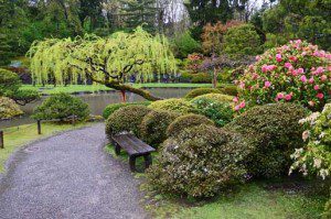@picsplaces @ Seattle Japanese Garden "#Html #Japanese-Gardens #amazingplaces http://goo.gl/7qnuMK Japanese Garden Seattle, Parks Arboretum"