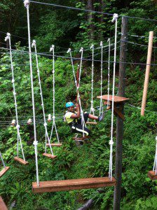 Students participate in the ropes course challenge at Camp Long