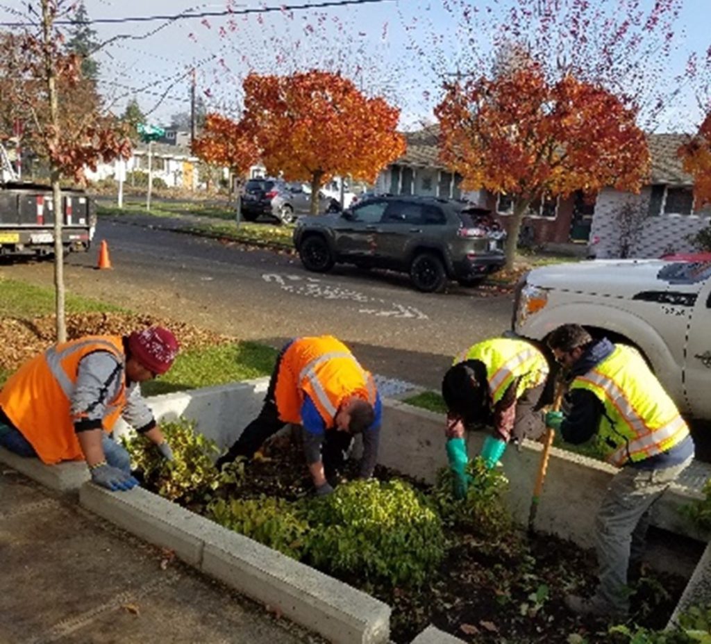 Four participants in the Seattle Conservation Corps work in a plant bed on a Seattle right of way, replacing shrubbery and soil. They are all wearing orange and yellow vests. 