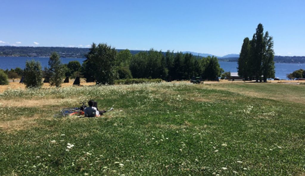 A seattle parks meadow overlooking Lake Washington on a warm summer day with no clouds in the sky. A person relaxes on their back enjoying the view with the bike next to them.