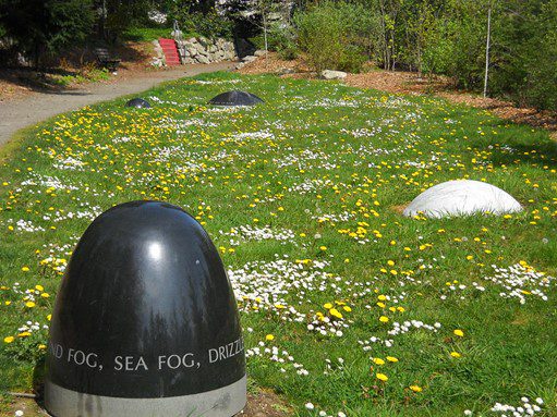 A small meadow at a smaller Seattle park hosts white daisies and dandelions amongst a public art installation in the meadow. The art is a egg shaped dome protruding from the ground with a black marble top. Etched words read, Sea Fog, Drizzle and Rain. 