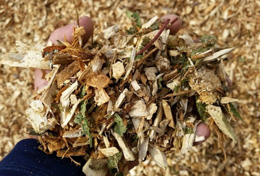 A hand grasps a handful of woodchip mulch, light colors of brown and tan.