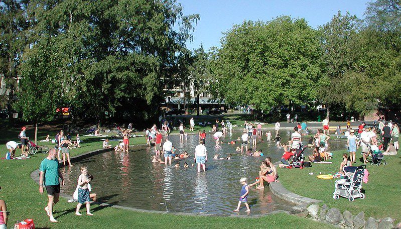 a few dozen toddlers splash in a kidney-shaped shallow pool, surrounded by trees and lawn and parents or guardians observing them