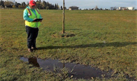 A worker in a reflective vest makes notes about a puddle that has gathered on a large field in a park.