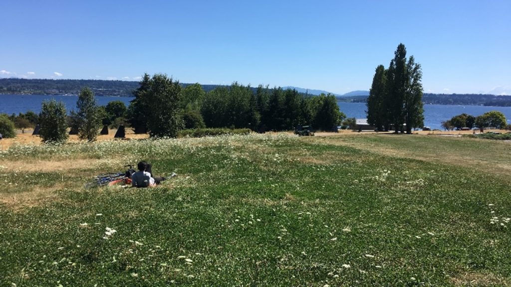A person relaxes on a field overlooking Lake Washington on a sunny day.