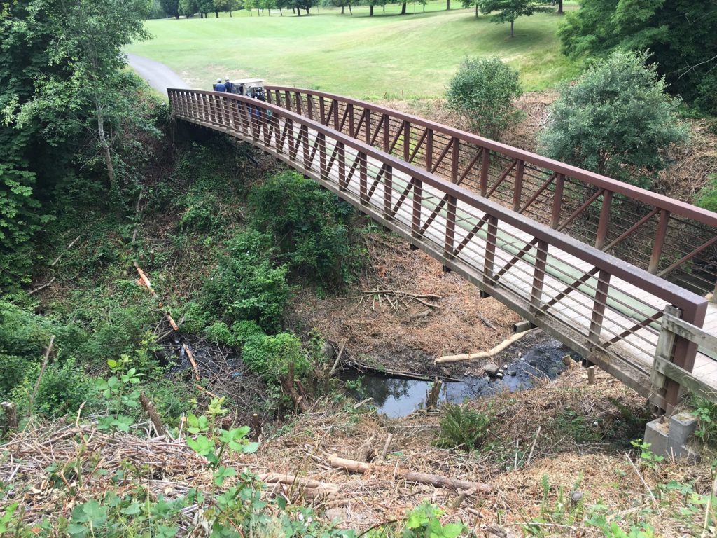 A bridge at a Seattle Parks golf course is shown in a picture, crossing over a small creek. The bridge is about 50 feet long with a slight arch to it. On the other side is the golf fairway.