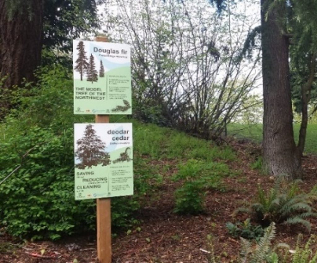 An ecological informational sign is shown at a trail head for a trail at a Seattle Park on an overcast day. 