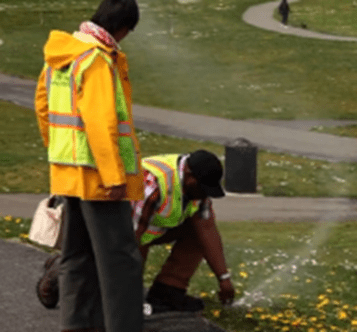 Two parks grounds maintenance staff inspect a sprinkler at a Seattle park.