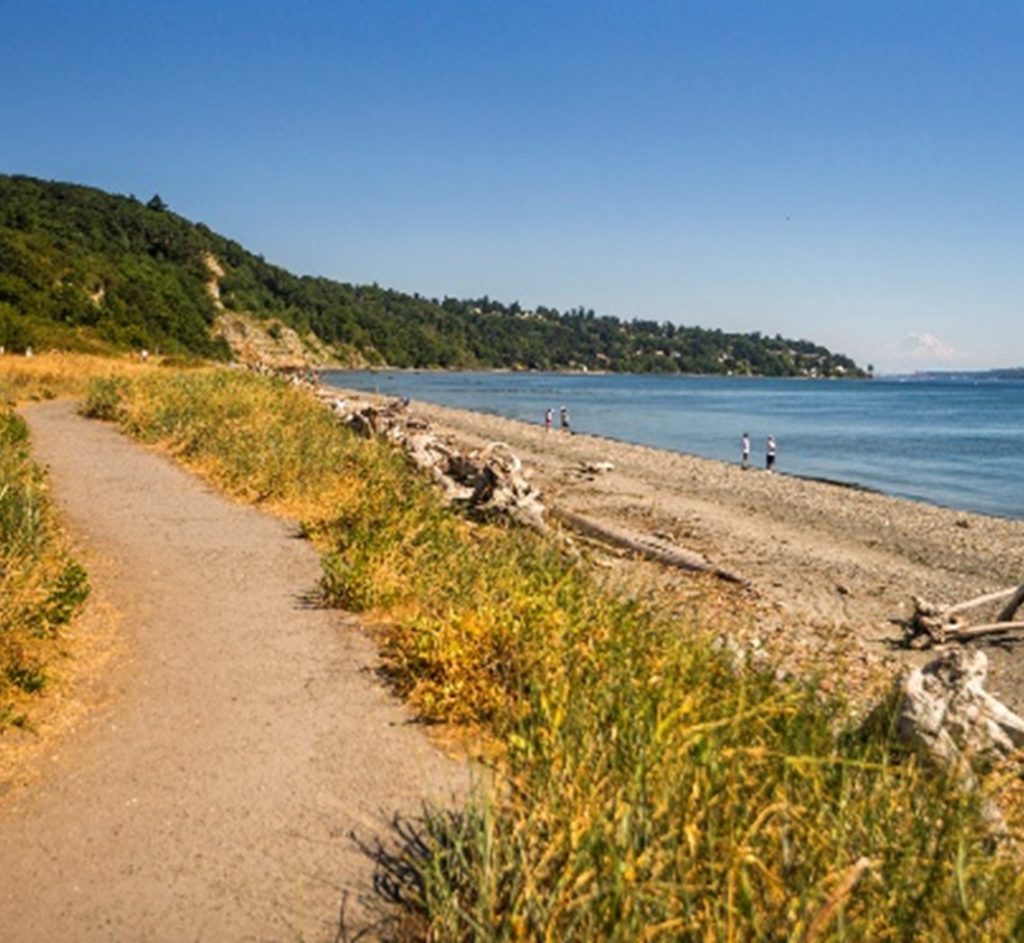 A picture shows the beach at Discovery Park on a clear sunny day. The beach is seen next to a walking path with grass and shrubbery in between. 