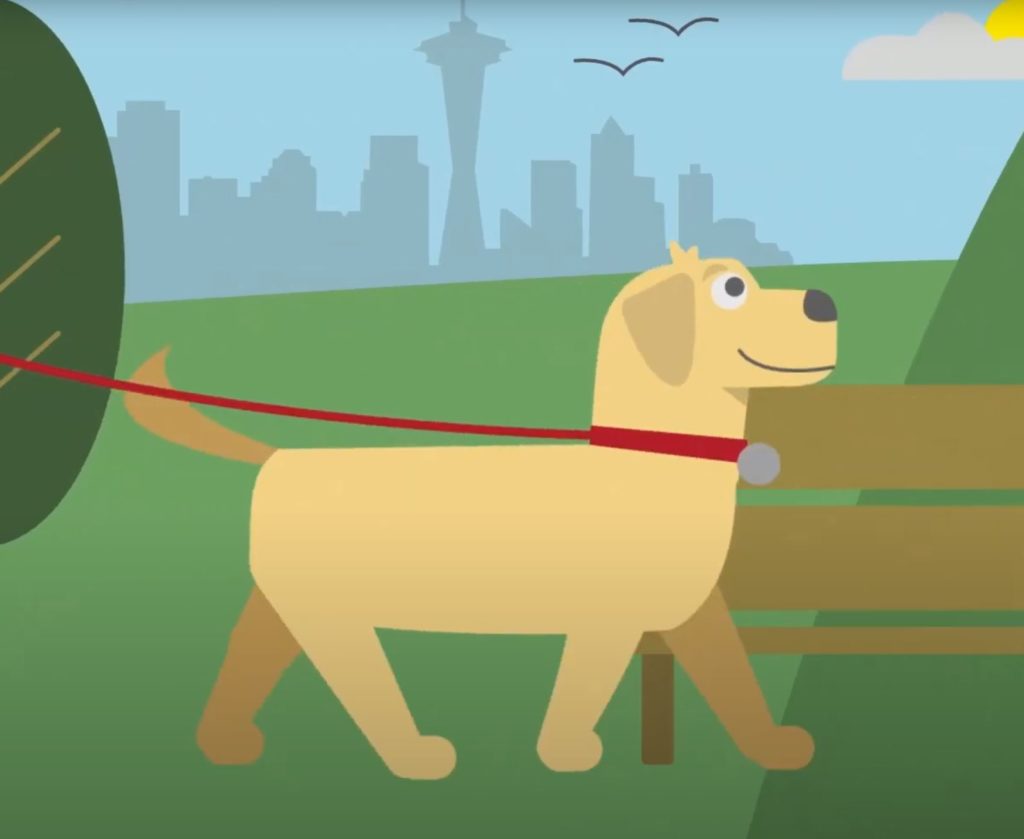A graphic illustration shows Buddy the dog walking happily in a Seattle Park on a sunny day. The Seattle skyline is in the background. 
