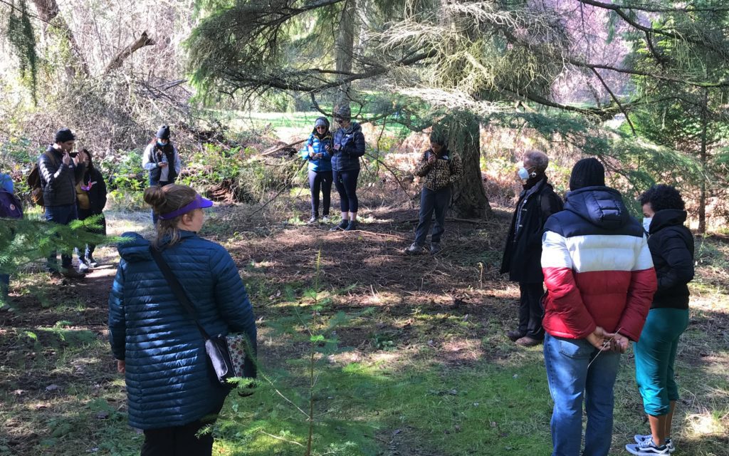 A group gathers for the Forest Bathing walk, reflecting on their experiences and finding connections to nature. Eleven people stand in a circle spread out on a sunny day. It is shaded under the forest canopy. 