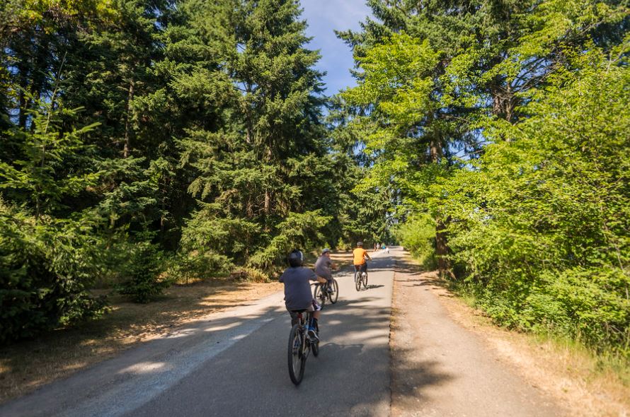 A group rides bikes along the paved path at Seward Parks on a sunny day.
