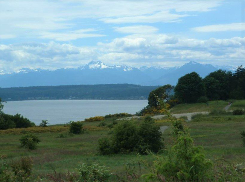 A picture over looking the Magnolia Bluff at Discovery Park shows a sunny day with clouds and the Olympic mountains in the distance. 