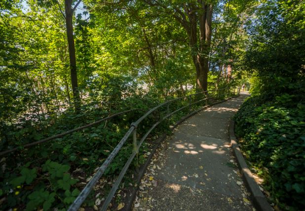 A downward walking trail at Lincoln Park is shown on a sunny day with light breaking through the foliage.