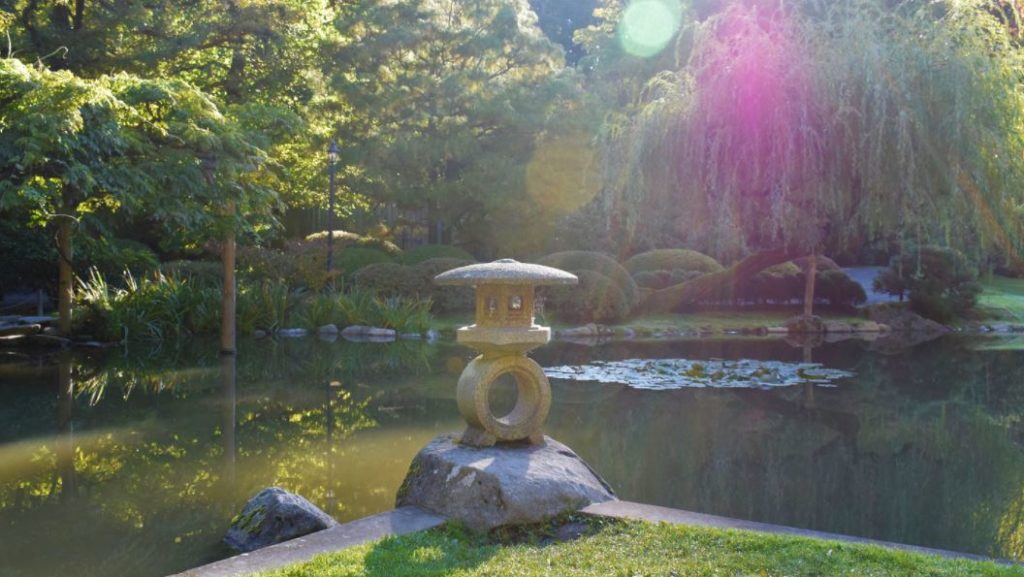 A picture shows a stone lantern at the edge of the pond at the Seattle Japanese Garden.