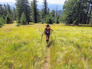 A person hikes up a path in a meadow at a Washington State Park. 