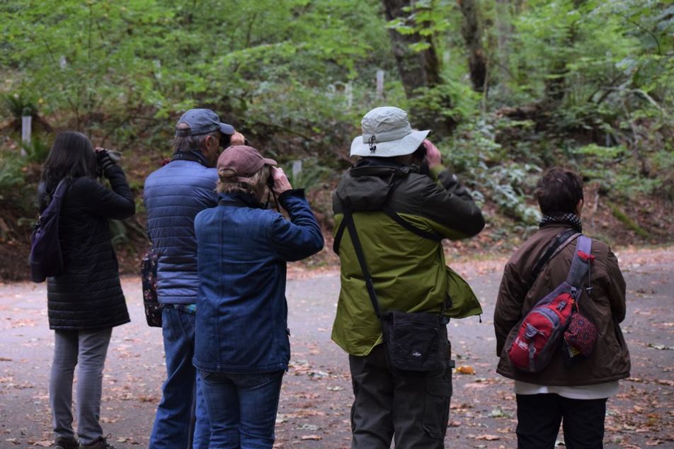 A group of 5 people are looking through binoculars while birding at Discovery Park. 