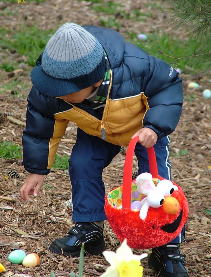 A child holding a elmo basket reaches over to pick up plastic eggs during an egg hunt
