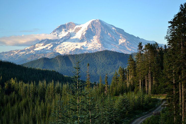 A picture of Mt Rainier. In the foreground are trees and a winding road.