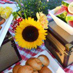 salmon, rolls and watermelon on picnic table