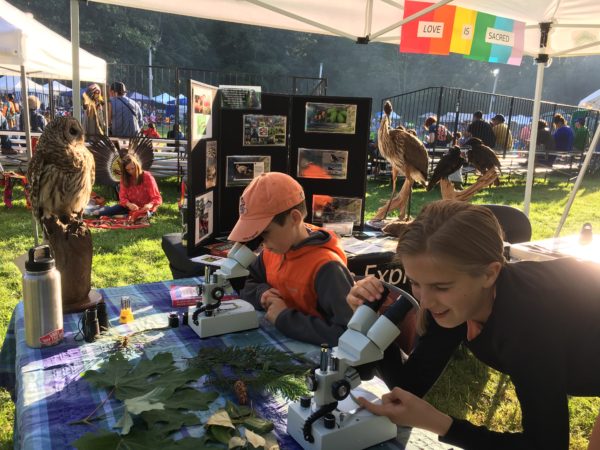 Seafair Indian Days Pow Wow - Parkways