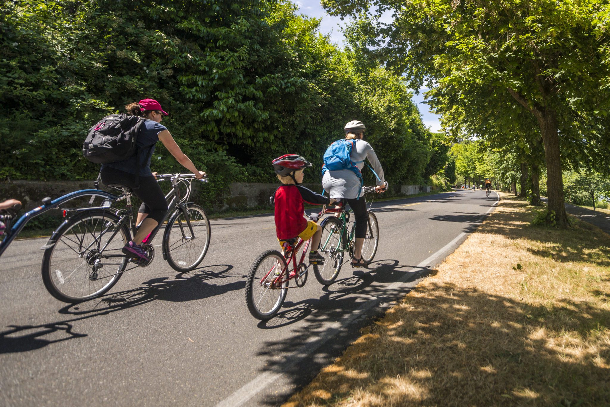 Update for 2020 Bicycle Sundays Parkways