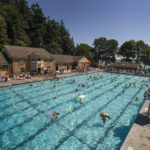 Outdoor pool on a sunny day, full of people, surrounded by trees on one side and Puget Sound visible on the other side.