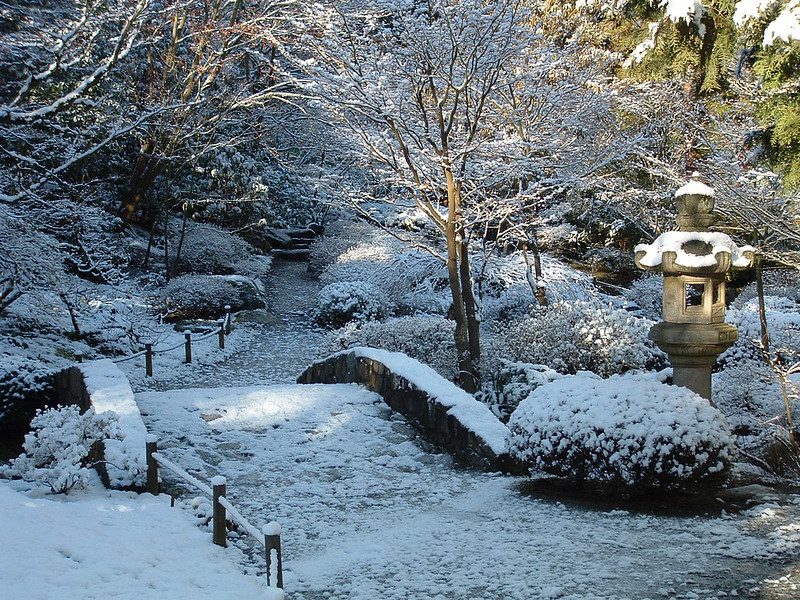 A dusting of snow covers the Japanese Garden, including plants, shrubs, and a small bridge over a pond.