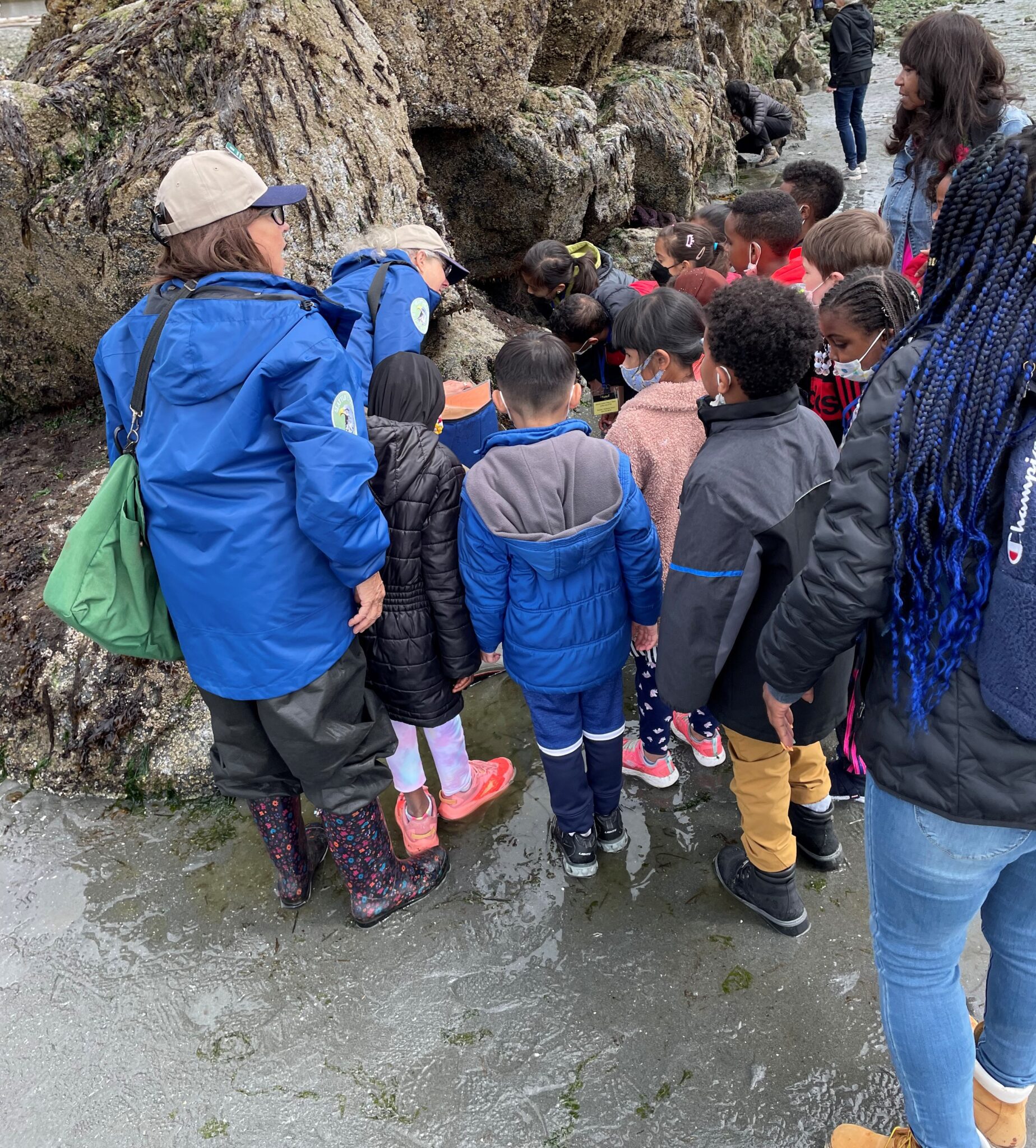 Group of kids outdoors on the beach exploring the tide pools with a naturalist guide.