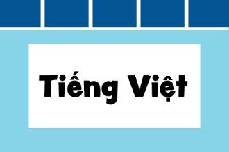 Link to Vietnamese text