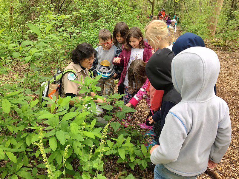 A Nature Guide shows young children something discovered on a forest walk.