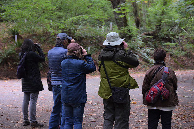 A group of adults look through binoculars on a wooded path.