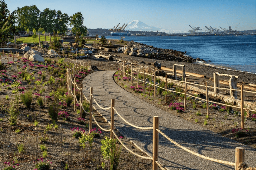 Elliott Bay Trail on a sunny day with the beach and Mount Rainier in the background