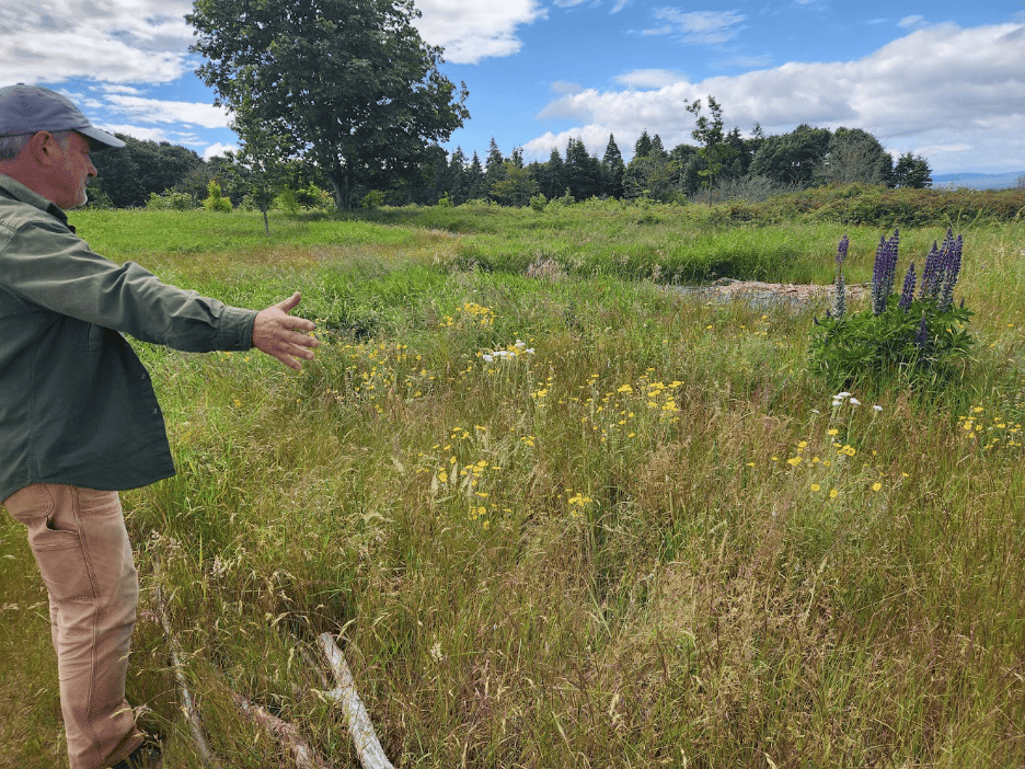 Discovery Park Meadow